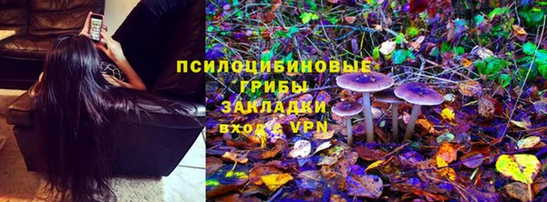 гашик Новокубанск