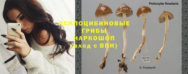 Альфа ПВП Новозыбков