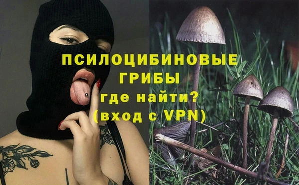 гашик Новодвинск