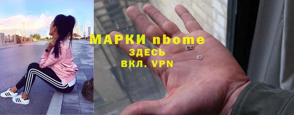 гашик Новодвинск