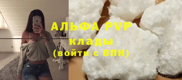 гашик Новокубанск