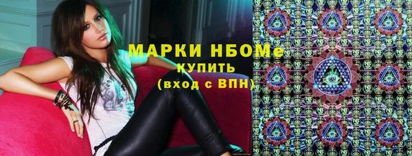 гашик Новодвинск