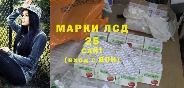гашик Новодвинск