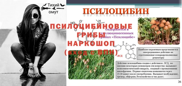 гашик Новокубанск