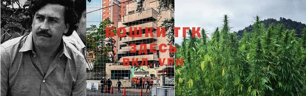 гашик Новокубанск