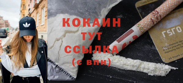 гашик Новокубанск