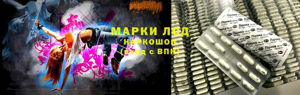 гашик Новодвинск