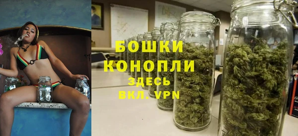 гашик Новодвинск