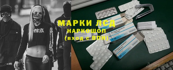 гашик Новодвинск