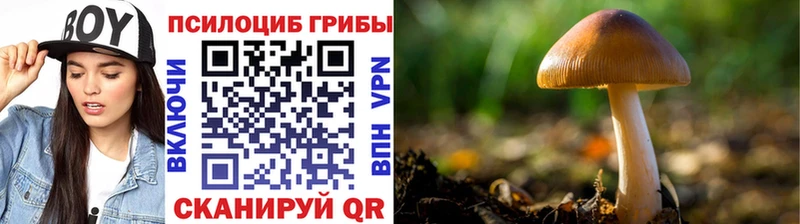 Галлюциногенные грибы Magic Shrooms  kraken вход  Чкаловск 