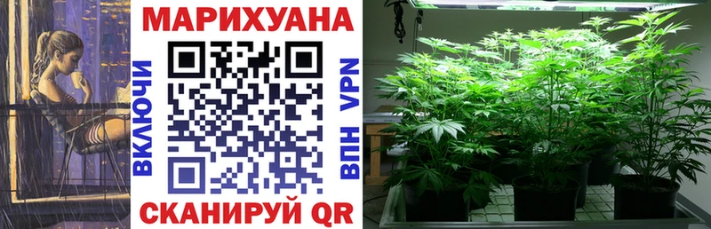 МАРИХУАНА White Widow  где купить наркотик  Чкаловск 